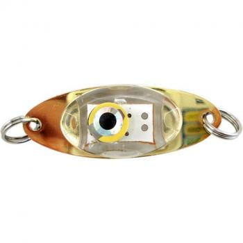 Tragbare Fischfang Lampe