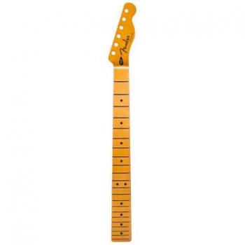 Fender Player Plus Manche Telecaster Érable 12 Radius