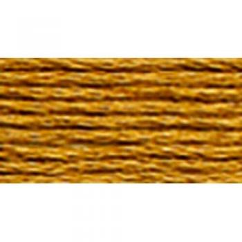 DMC Fil à Broder Coton Multibrin n°3828