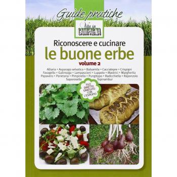 Riconoscere e cucinare le buone erbe. Alliaria. Asparago selvatico. Balsamita. Caccialepre. Crispigni. Favagello. Galinsoga. Lampascioni. Luppolo. Mastrici...