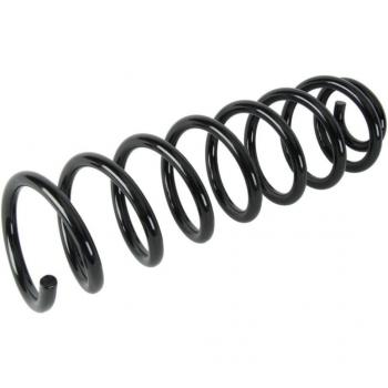 Magnum Technology Coil Spring SR075