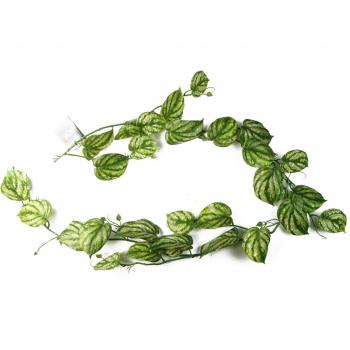 Fake Ivy Plant, Trailing, Devil's Ivy, Length: 180cm, Color: Green