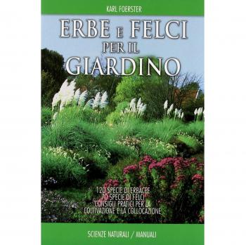 Erbe e felci per il giardino