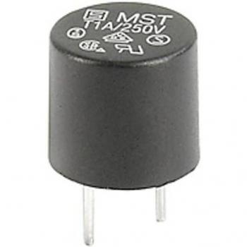 Schurter 0034.6605 Delayed Pico Fuse 0.10 A 250 V AC – Qty 10