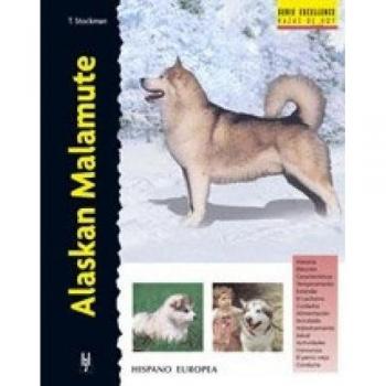 Alaskan Malamute (Excellence)