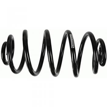 993 389 Sachs Coil Spring