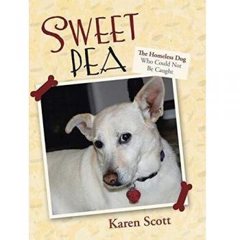 Sweet Pea: The Homeless Dog Who Could Not Be Caught