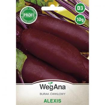 Barbabietola Alexis 10g – Semi Premium