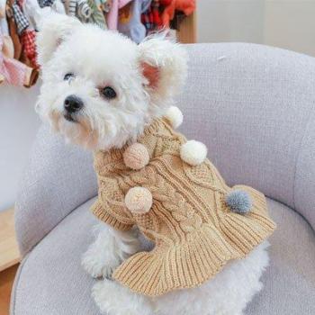 Robe d'hiver pour chien