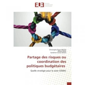 Partage des risques ou coordination des politiques budgétaires: Quelle stratégie pour la zone CEMAC