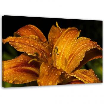 Orange Lily Gold Canvas 60x40