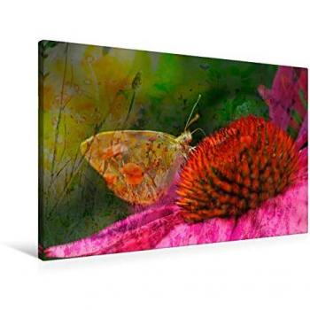Sonnenhut des Zitronenfalters – Karsten Jordan Textil‑Leinwand 90 x 60 cm
