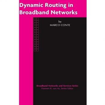 Dynamic Routing in Broadband Networks (Broadband Networks and Services (3), Band 3)
