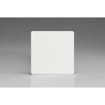 Single Light Fixture Blank Premium White XDQSBS