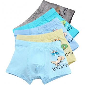 Kids' Dinosaur Underpants