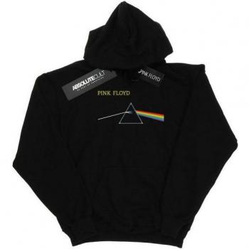 Pull Prisme Poitrine Homme Pink Floyd L