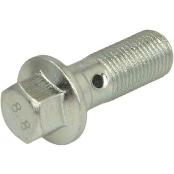 QUICK BRAKE Parafuso oco 3258