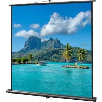 Celexon Travel-Friendly Projection Screen 156 x 156cm