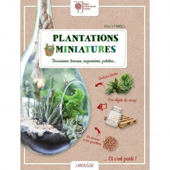 Plantations miniatures : Terrariums, bocaux, suspensions, palettes