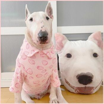 Big Dog Shirt – Bull Terrier