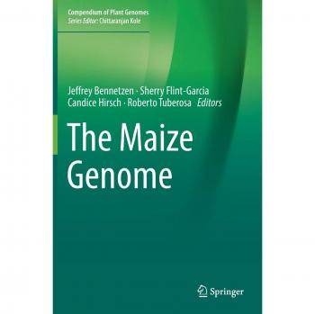 The Maize Genome