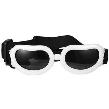 MiniDog Sunglasses Anti-Poussière