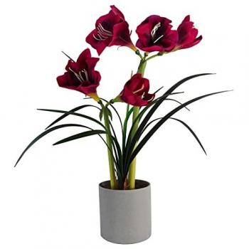 Artificial Amaryllis