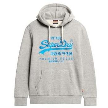 Sudadera con Capucha Superdry Neon VL Graphic Gris Athletic Marl
