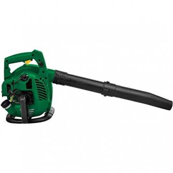 Aspirafoglie Green Hobby Garden 26 cc