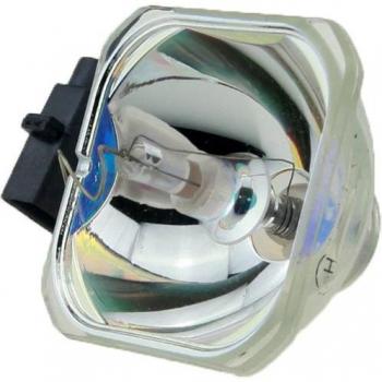 EPSON ELPL67 Projector Lamp for EB-W12