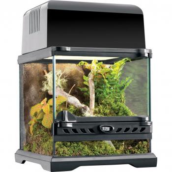 Exo Terra Natuurlijke Nano Terrarium Smalle 20x20x20cm