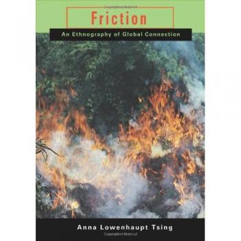 Friction – An Ethnography of Global Connection