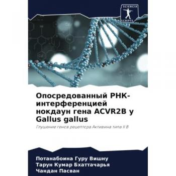 Опосредованный РНК-интерференцией нокдаун гена ACVR2B у Gallus gallus: Глушение генов рецептора Активина типа II B: Glushenie genow receptora Aktiwina tipa II B