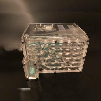 Caja de Insectos para Hormigas