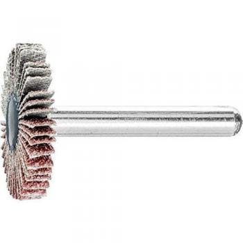 Leque de Lixa 3005 G-60 PFERD
