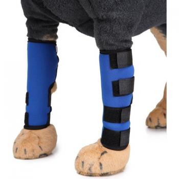 Dog Injury Recovery Knee Wraps