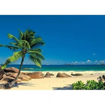Komar Seychellen Fotodruck: Strand & Palmen – 270 x194 cm