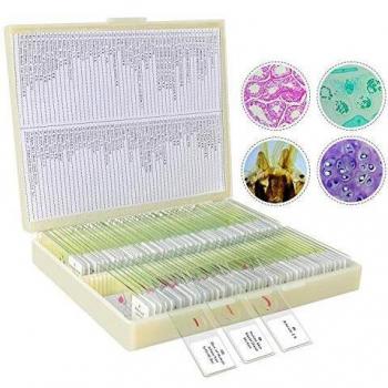 Pack de 100 Lames de Microscope pour Échantillons Biologiques