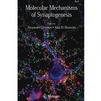 Molecular Mechanisms of Synaptogenesis