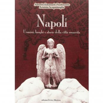 Napoli. Uomini luoghi e storie della città smarrita