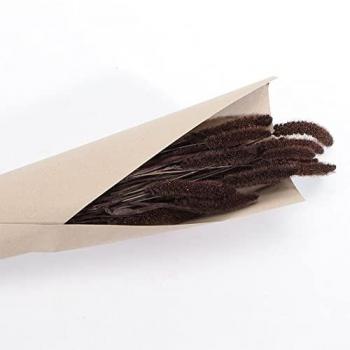 Bouquet Setaria 74 cm (Brun) avec Fleurs Dégradés Beige‑Ivoire‑Crème‑Écru‑Naturel‑Taupe