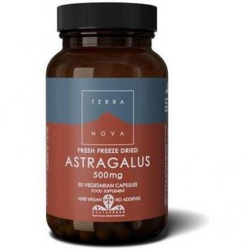 Astragalus 500mg Capsules 50 Caps