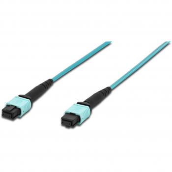 Câble de connexion fibre optique 30 m OM3