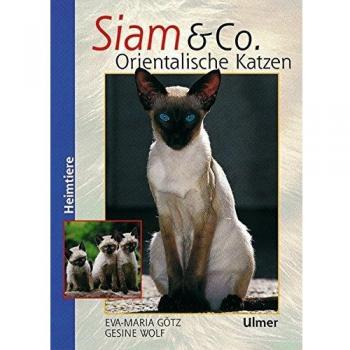 Siam und Co