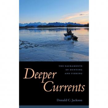 Vitalsource Technologies, Inc. Deeper Currents