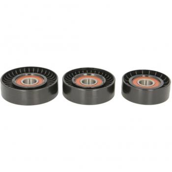 BTA E2M0027BTA Riemspanner voor Poly V
