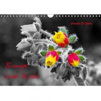 Blumige Licht-Blicke (Wandkalender immerwährend DIN A4 quer)