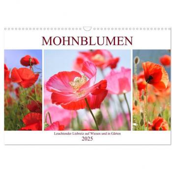 Mohnblumen. Leuchtender Liebreiz auf Wiesen und in Gärten (Wandkalender 2025 DIN A3 quer) CALVENDO Monatskalender