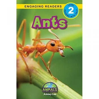 Ants by Ashley Lee