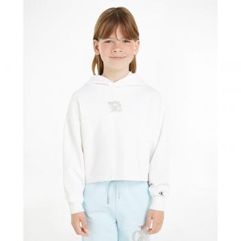 Calvin Klein Jeans Mädchen Sweatshirt Metallic Weiß 14Y Regular Fit
